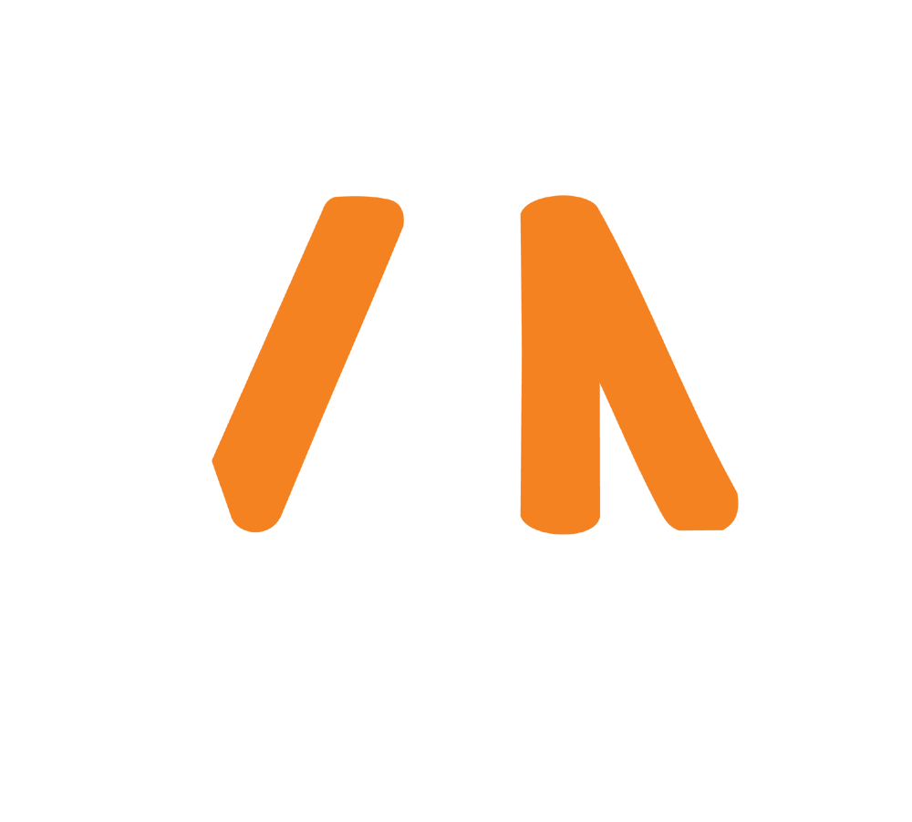 VSN-Logistics-Logo