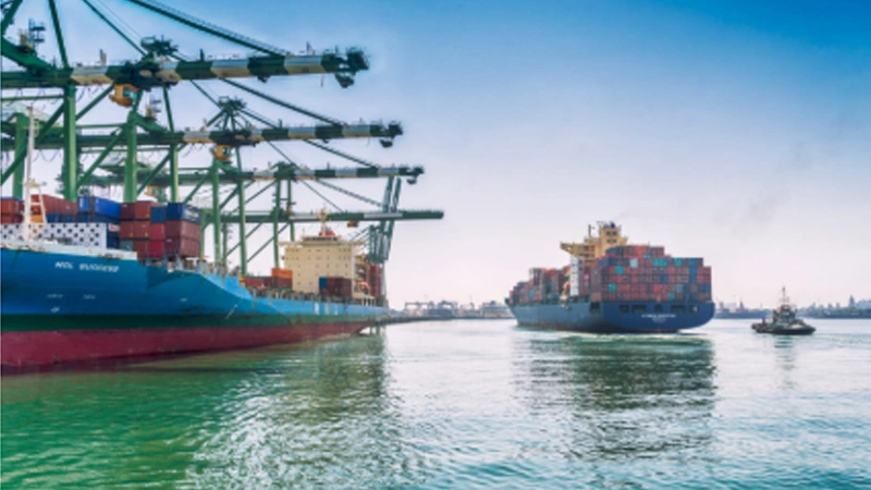 Warehouse and cargo consolidation services by freight forwarders in India