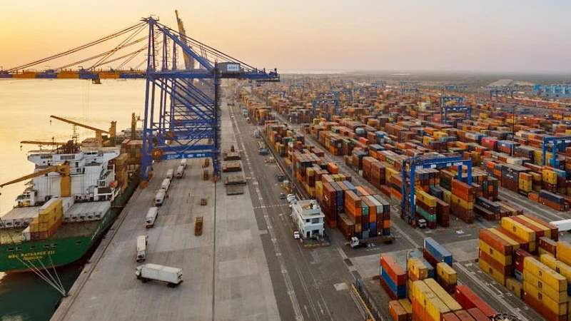 Logistics professionals managing international freight in India